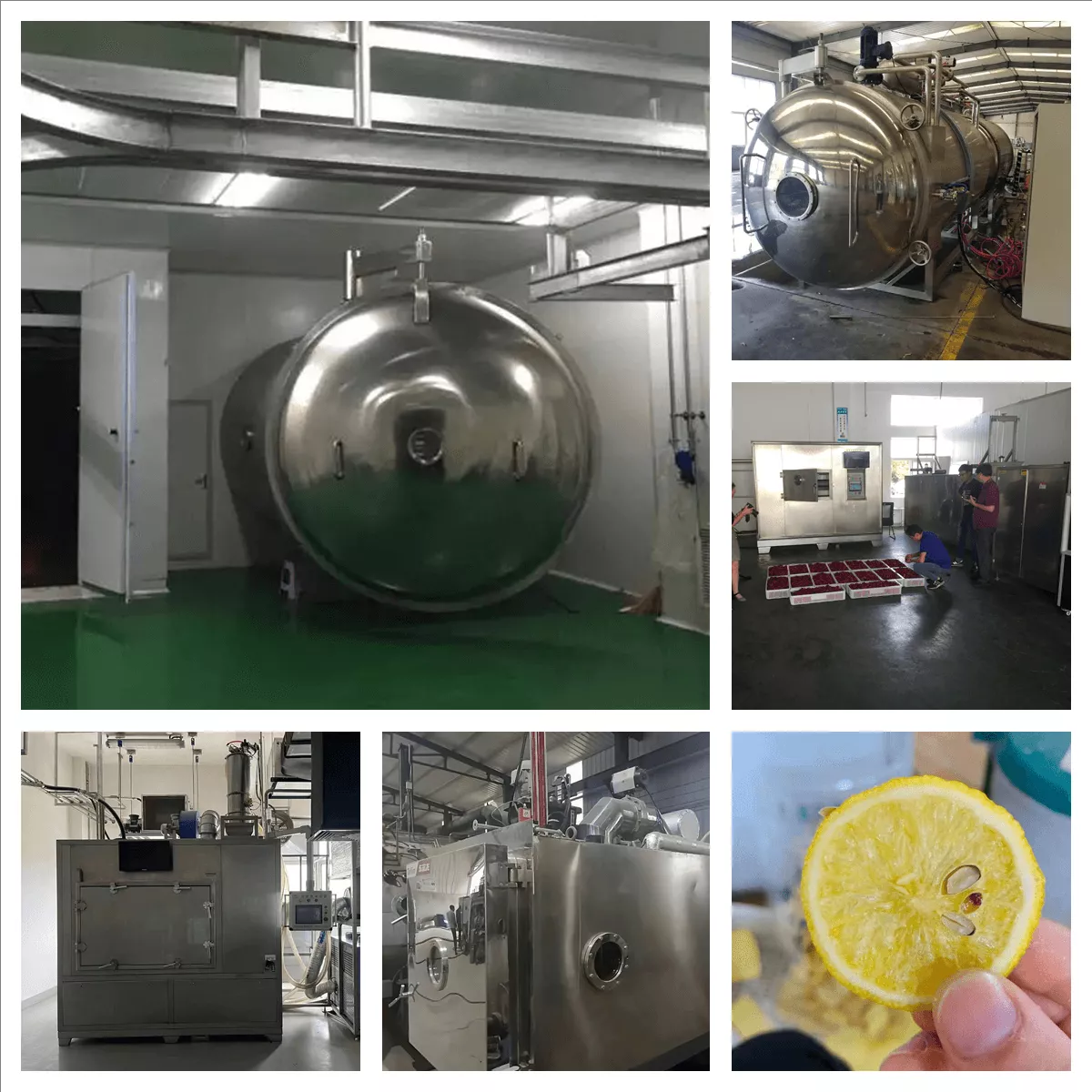 Fruit Freezer Dryer Dessert Farm Vacuum Freeze Drying Machine Drying  Lyophilizer Machine In Food Processing