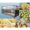 Introduction to Food Dryer