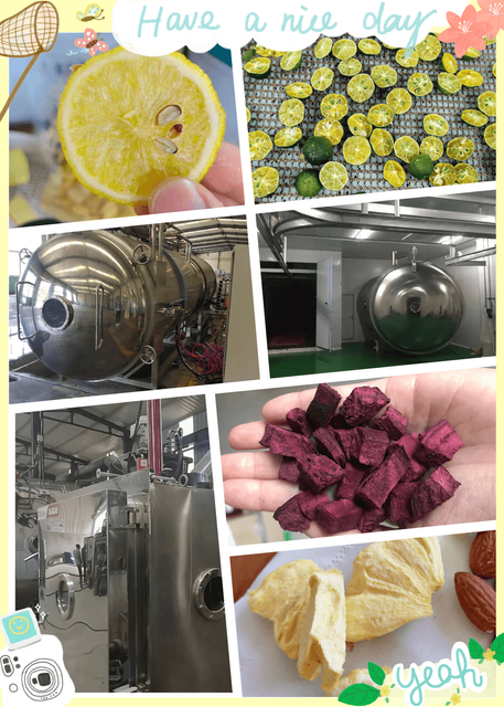 The vacuum freeze dryer is used more and more widely