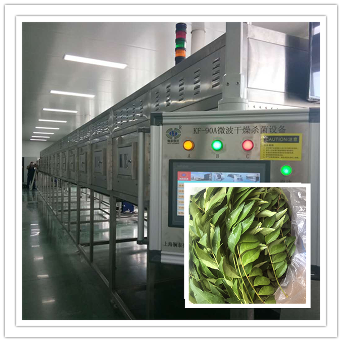 Curry Leaf dryer drying process introduction