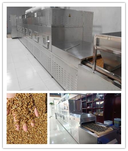 Why microwave dryer can be used for insect killing and sterilizing of Chinese medicinal materials?