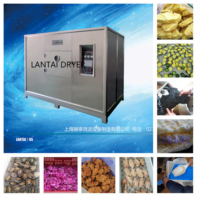 Freeze drying process in vacuum