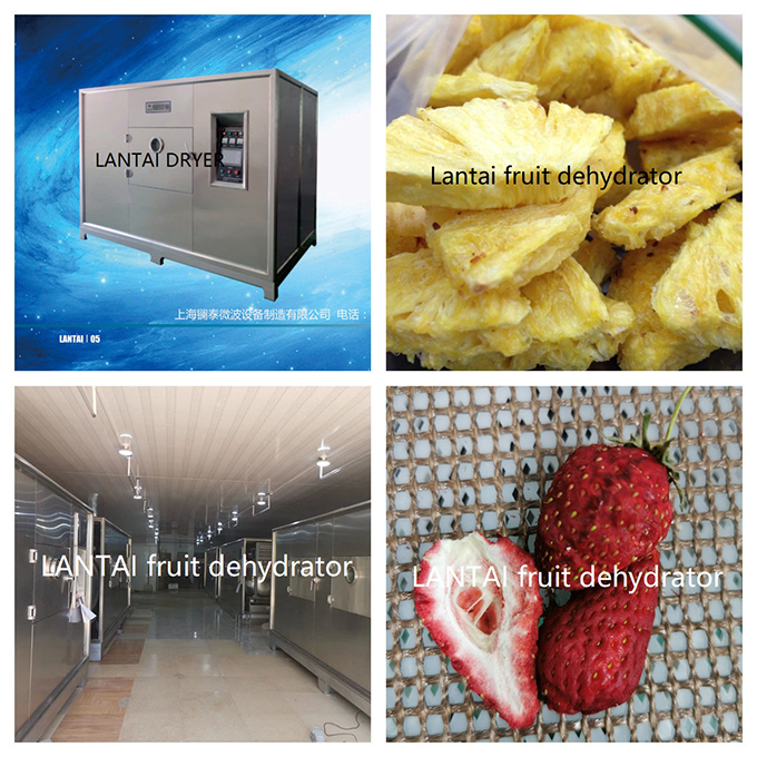 Use an industrial fruit dryer to store fruit