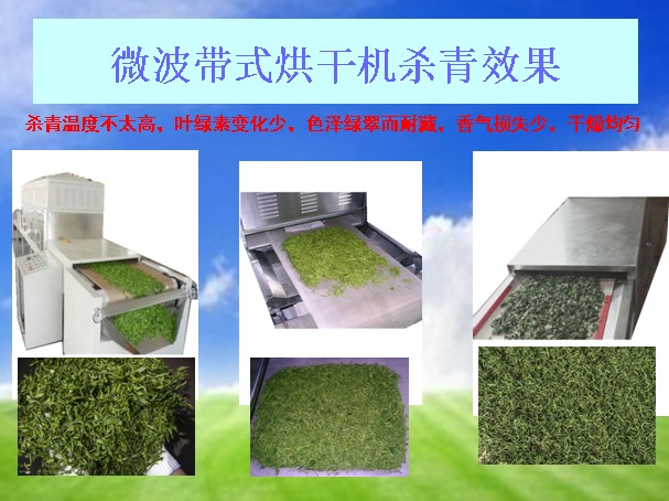 Application of microwave equipment in the field of tea drying