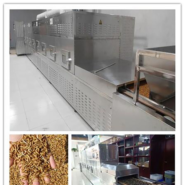 Insect Drying Machine