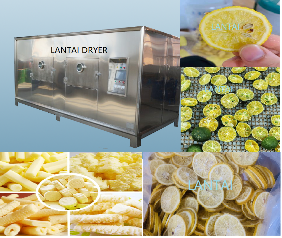 The Role of Vacuum Technology in Freeze Drying